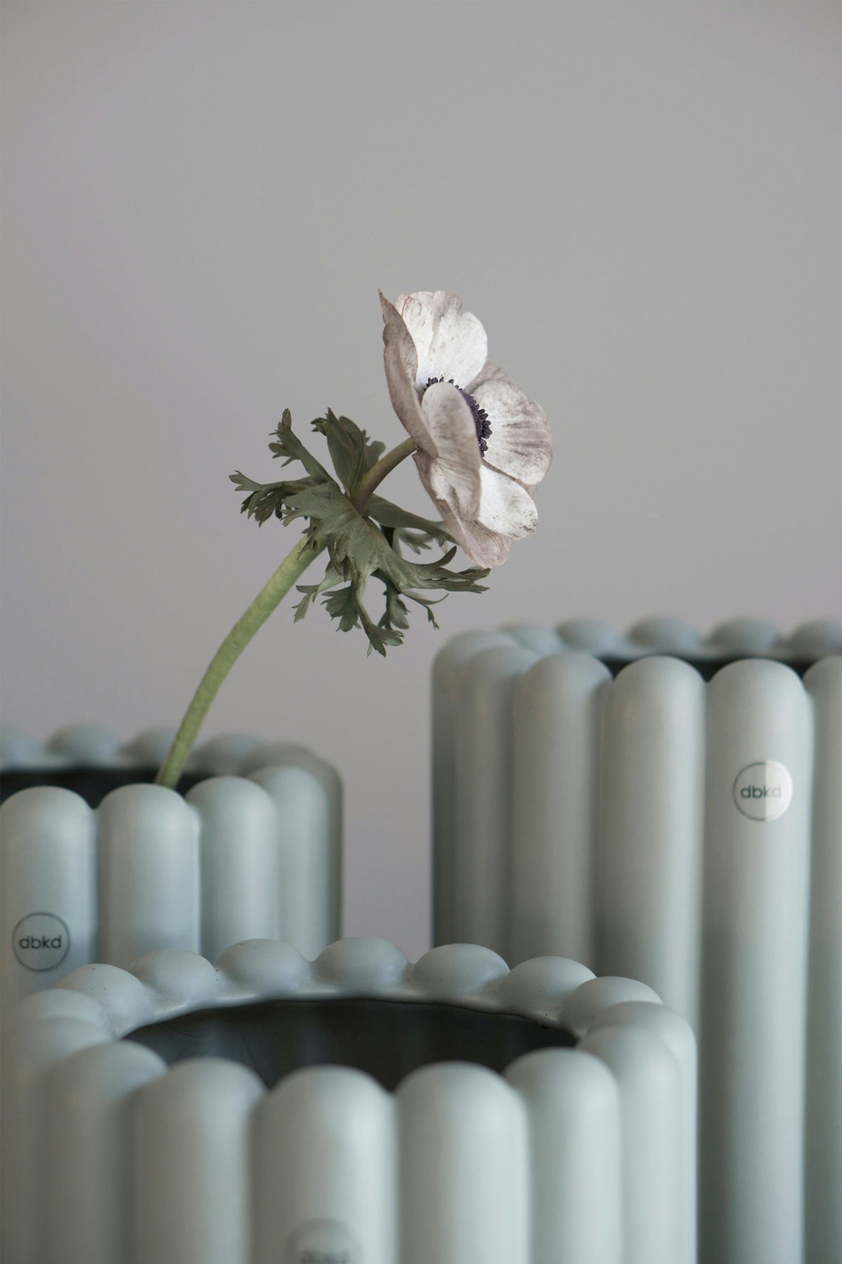 DBKD Mist Blumentopf, Large/ Pistachio