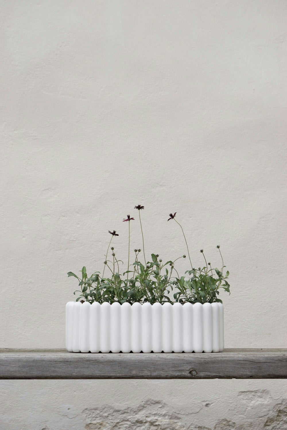 DBKD Mist Blumentopf XL, White