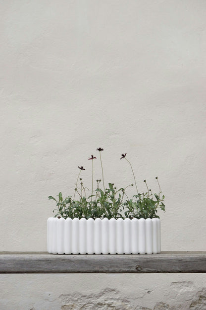 DBKD Mist Blumentopf XL, White