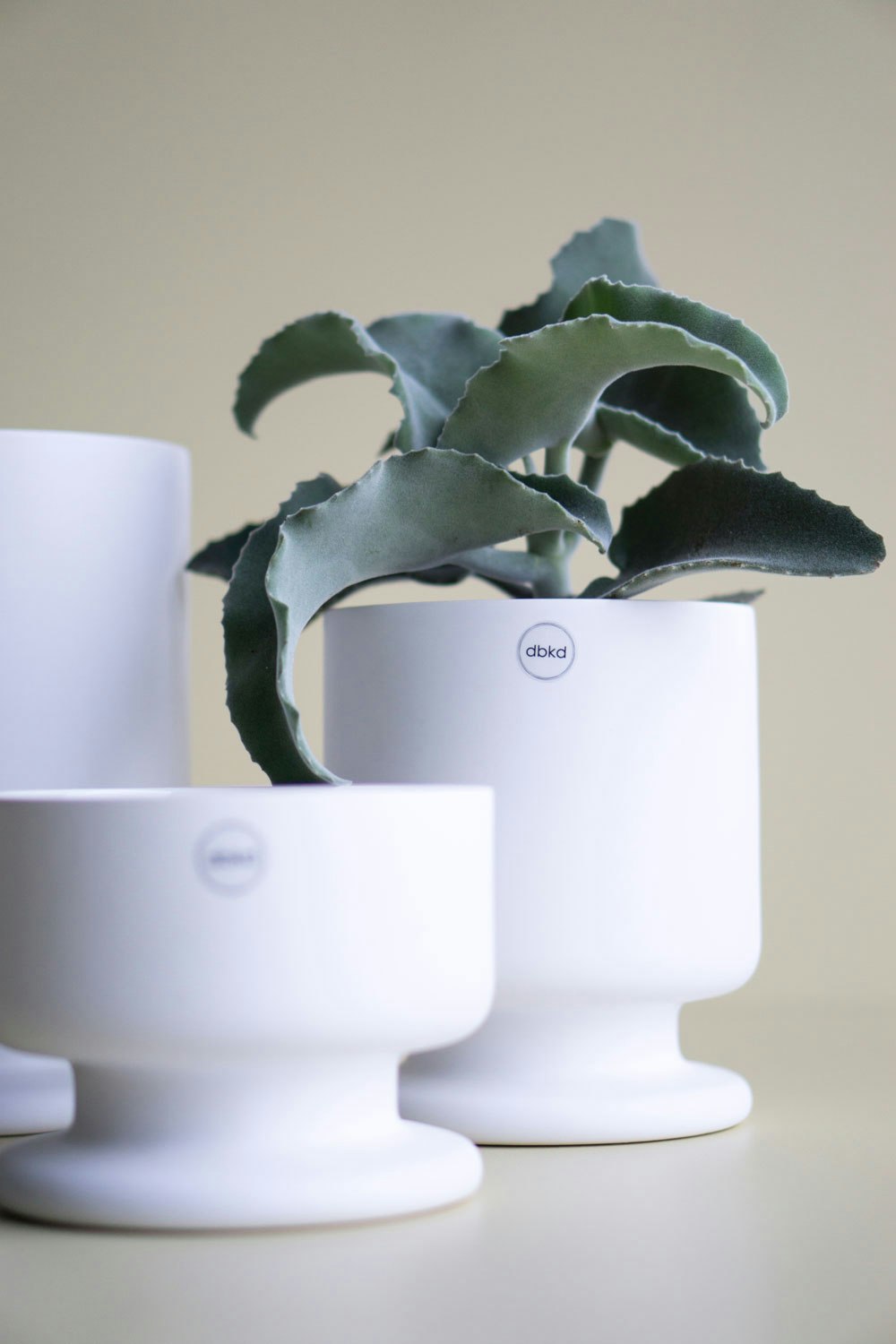 DBKD Soft Pot Medium, White