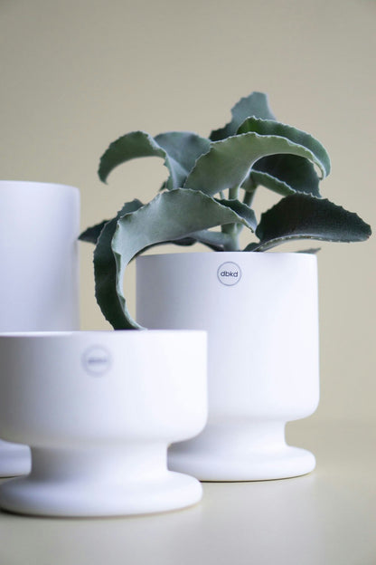 DBKD Soft Pot Medium, White