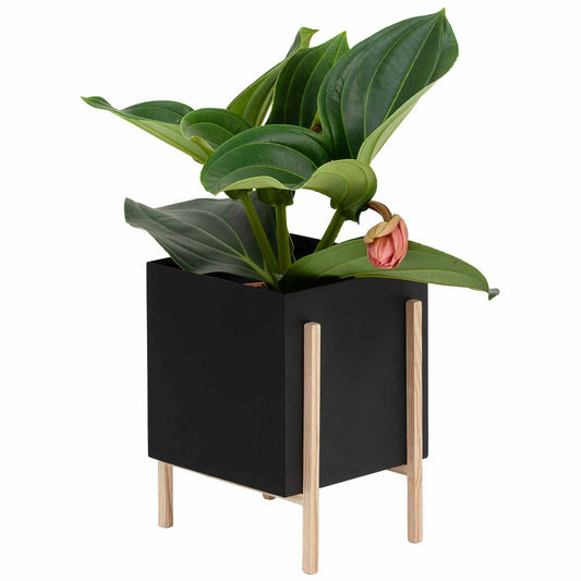Design House Stockholm Botanic-Topf