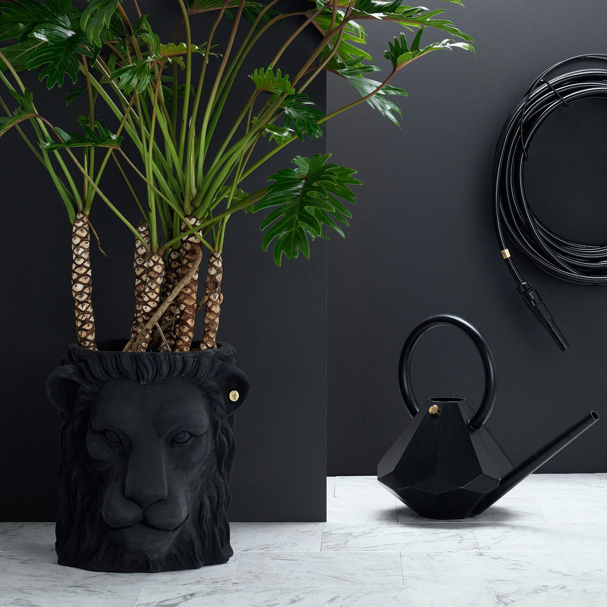  Garden Glory Lion Pot Topf L, Schwarz