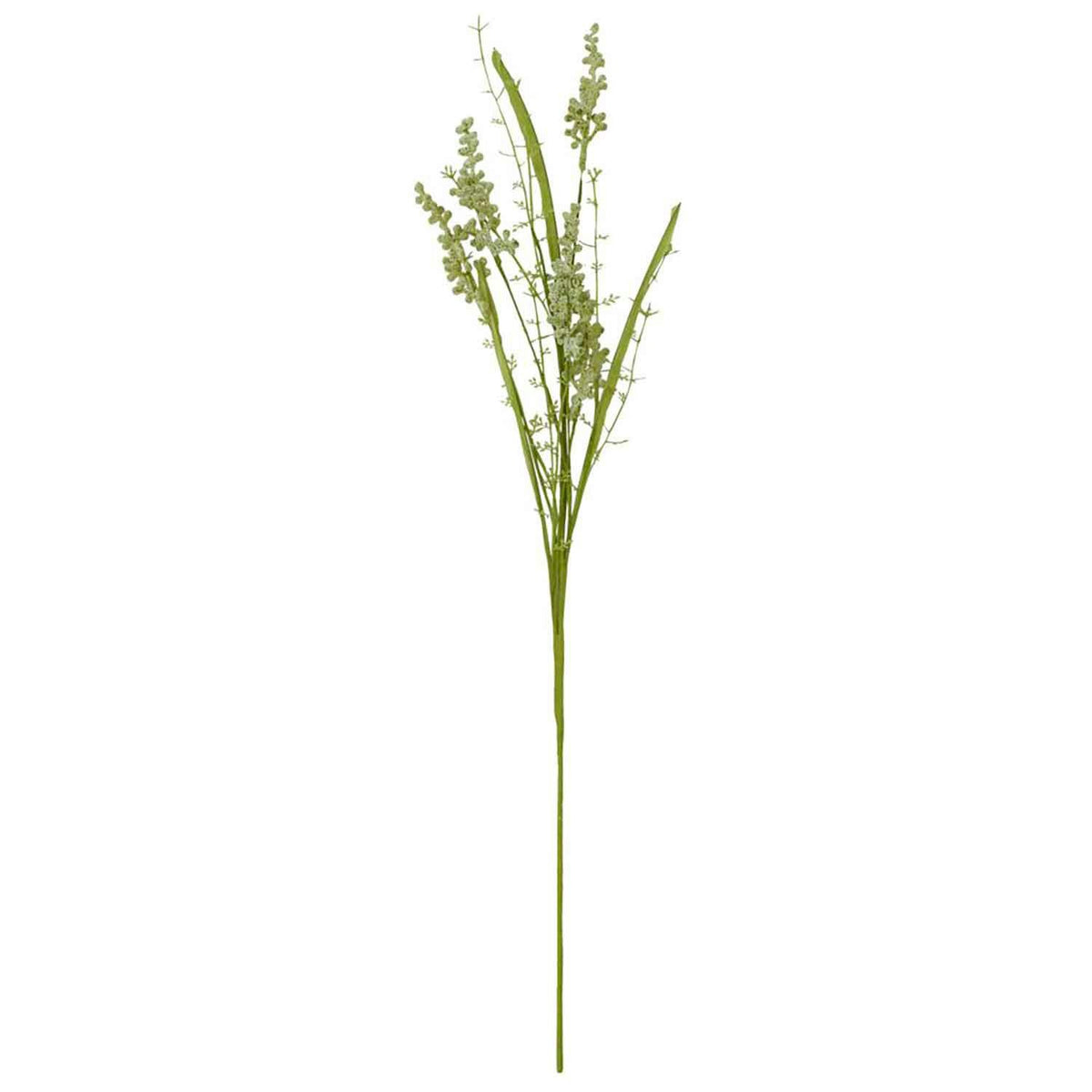 House Doctor Blume, Gypsophila