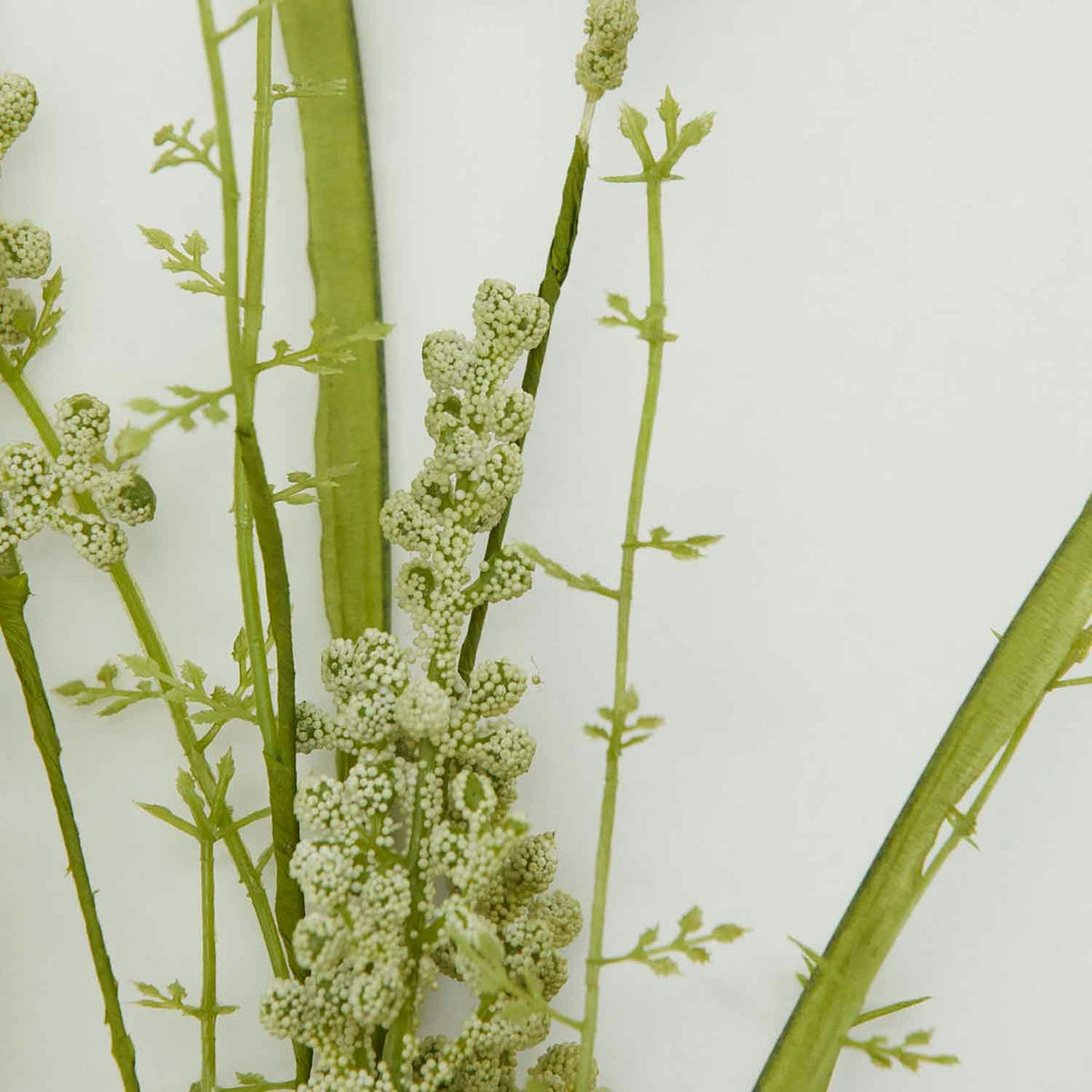 House Doctor Blume, Gypsophila