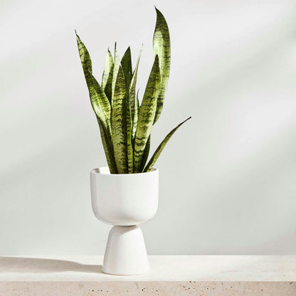 Iittala Nappula Blumentopf 23x15 Cm, Weiß