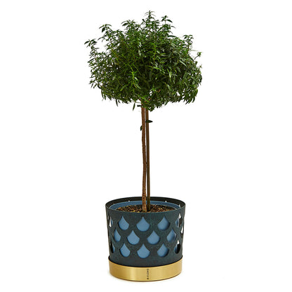 Klong Trio Blumentopf Drop Mittel