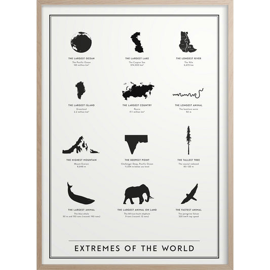  Extremes Of The World Poster 50x70 Cm
