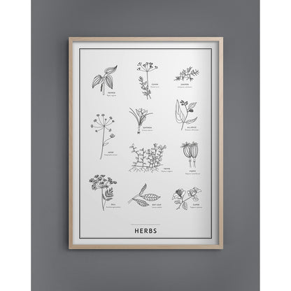  Herbs Poster 50x70 Cm