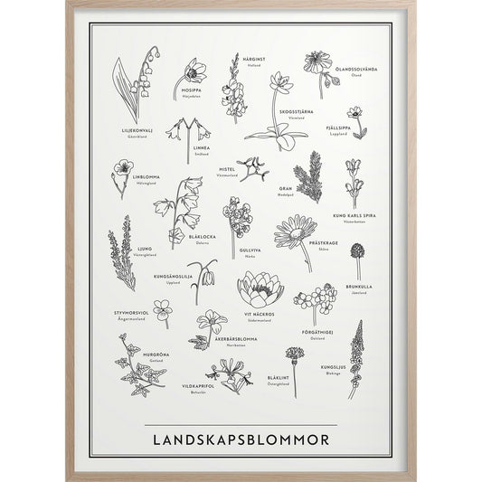  Landscape Flowers Poster, 30x40 Cm