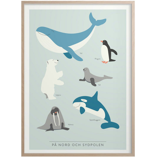  På Nord Och Sydpolen Poster 30x40 Cm