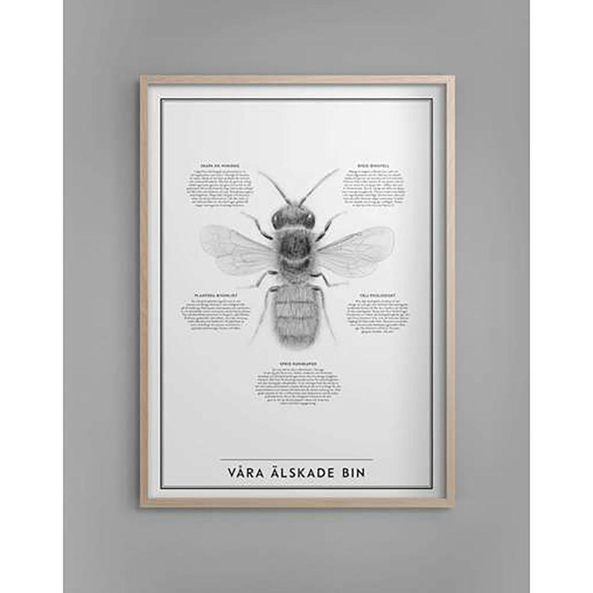  Our Beloved Bin Poster 30x40 Cm