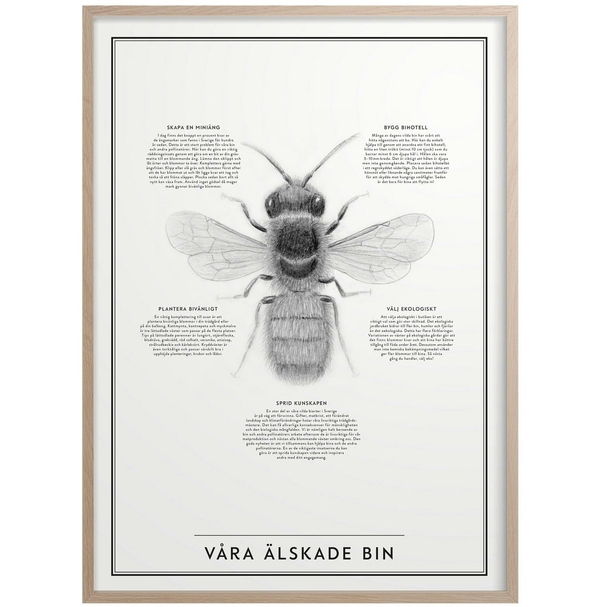  Our Beloved Bin Poster 30x40 Cm