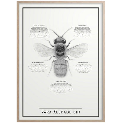  Our Beloved Bin Poster 30x40 Cm