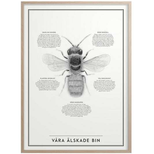 Våra Älskade Bin Poster 50x70 Cm