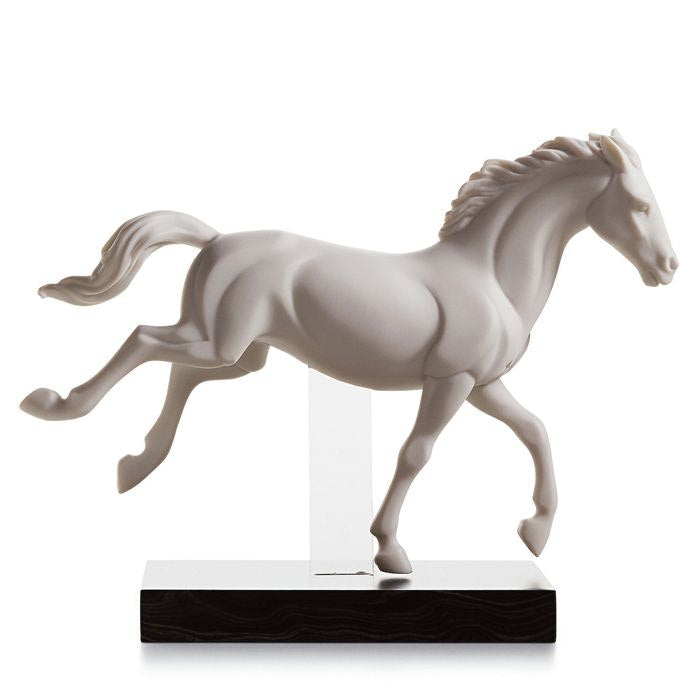  Gallop II