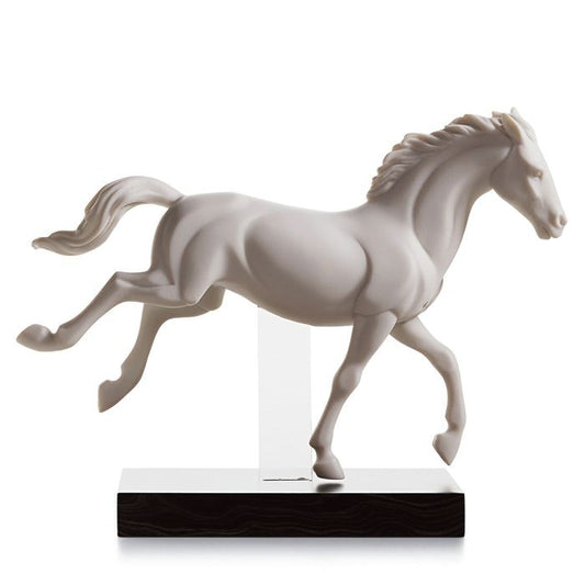  Gallop II