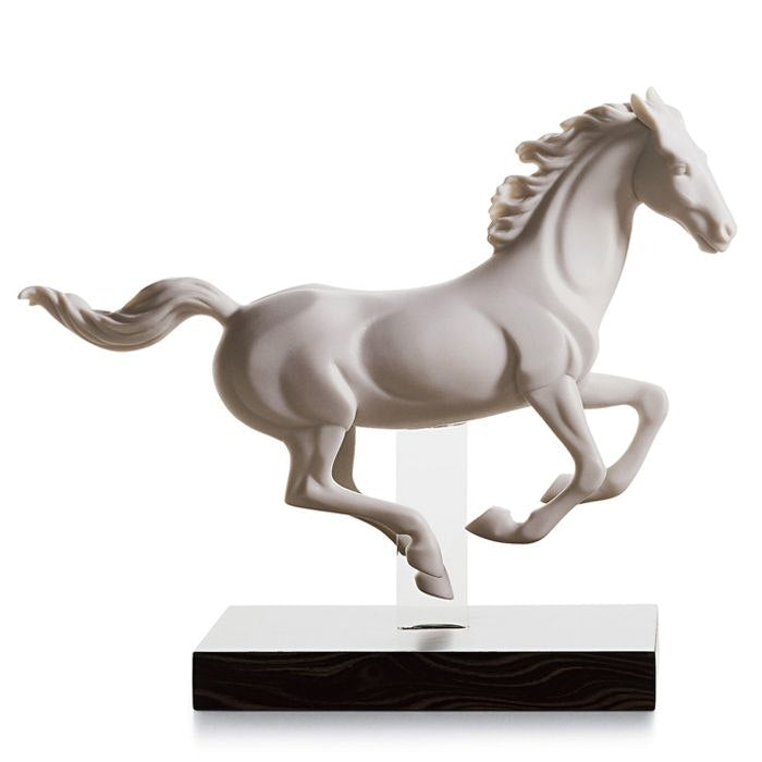  Galopp I