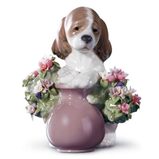  Unartiger Hund