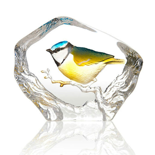  Wildlife Bluetit