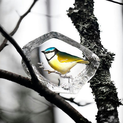  Wildlife Bluetit