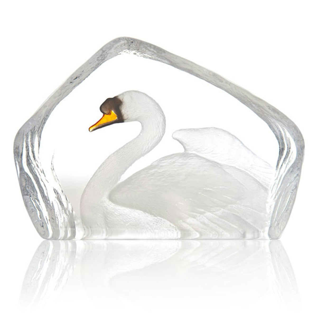  Wildlife Swan