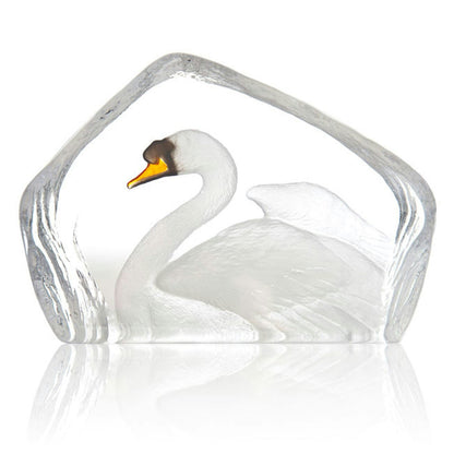  Wildlife Swan