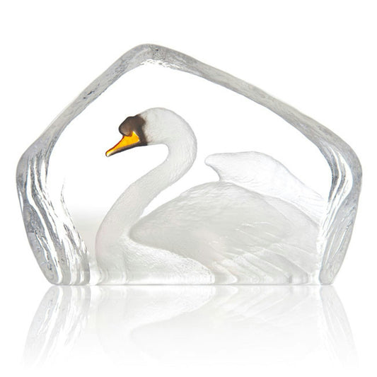  Wildlife Swan