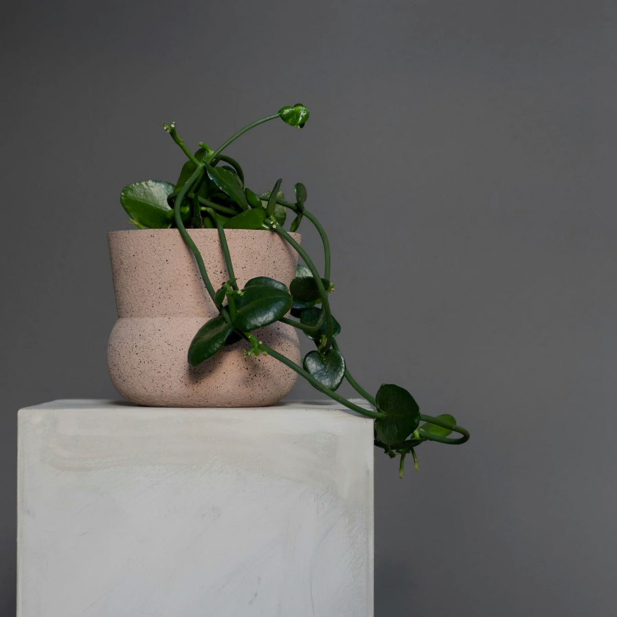 Mette Ditmer Stone Topf Ø17 Cm, Blush