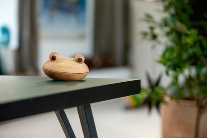 Spring Copenhagen Frog Schüssel 14 Cm